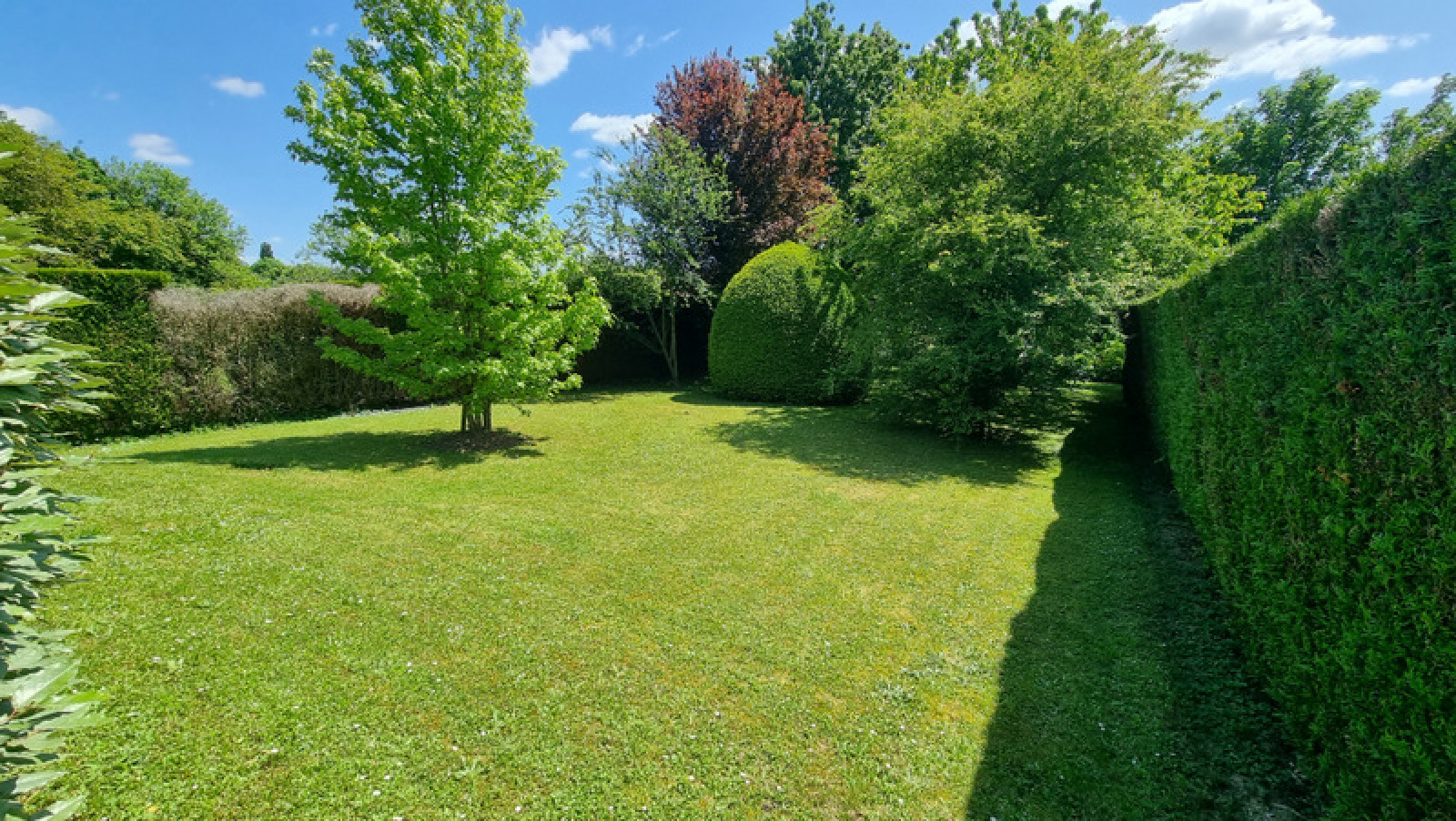Image_16, Propriete, Thorigny-sur-Marne, ref :6745